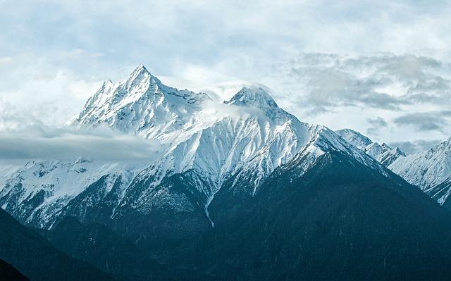 Tibetská Houba a Kombucha: Porovnání Účinků