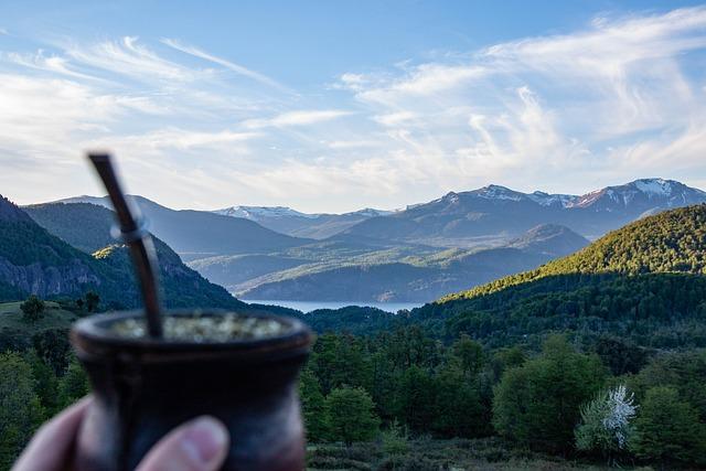 Yerba Mate Dávkování: Kolik Čaje Pro Optimální Účinek?