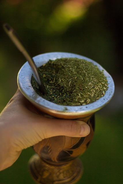 Yerba Mate Caffeine vs Coffee: Který Vás Lépe Probudí?