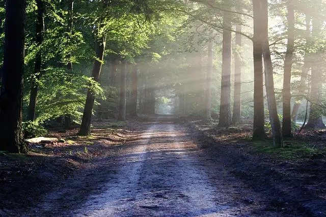 Přírodní univerzální lék na klid a pohodu