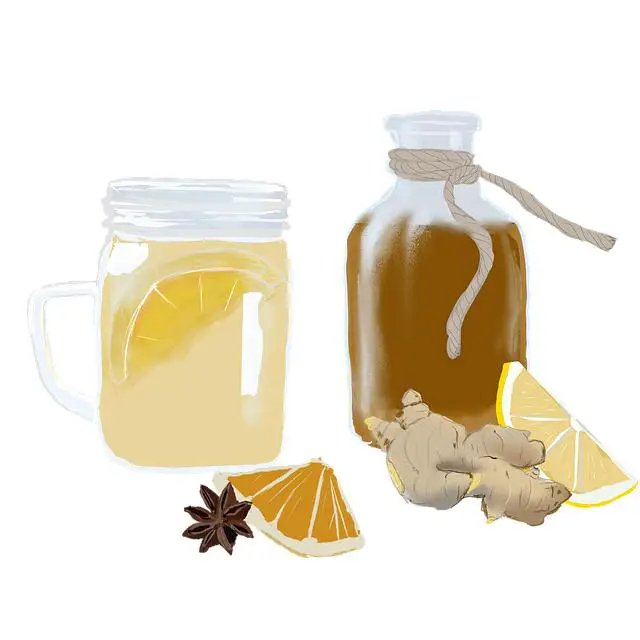 Kombucha jako prostředek pro detoxikaci těla