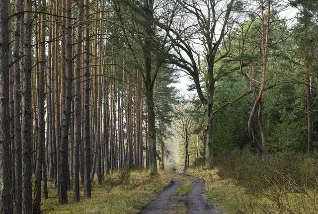 Způsoby zapálení vášně pro kávu ve vaší kanceláři