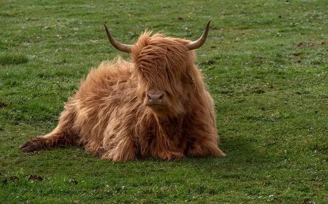 Jak ⁣příroda ovlivňuje naši ​psychickou⁣ pohodu?