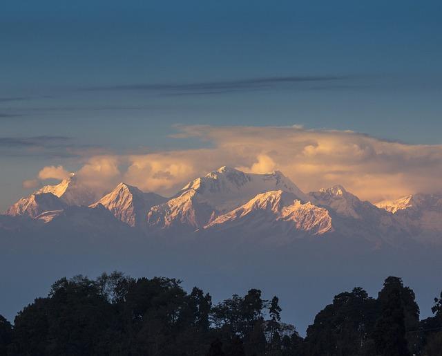 Typy Darjeeling Čajů a jejich Různé Chutě