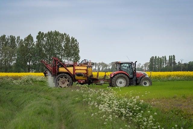 Jak zpracovat šípky na čaj: Postup krok za krokem!