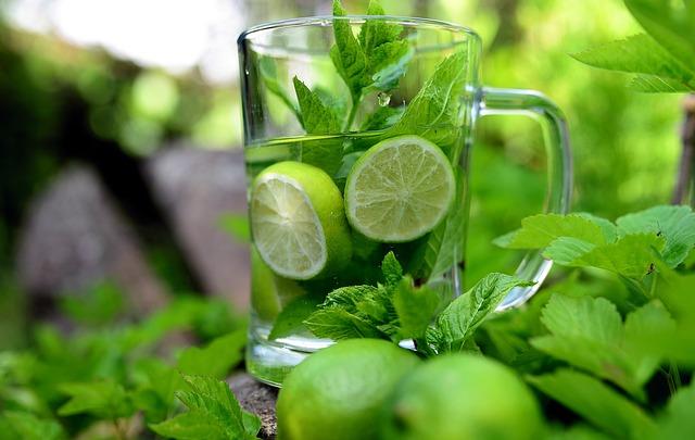 Nejlepší detoxikační čaj: Které složky hledat?