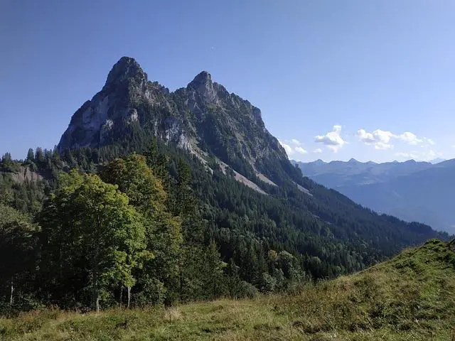 Mýty a fakta o ⁤užívání⁣ skořicového čaje k ‌redukci váhy